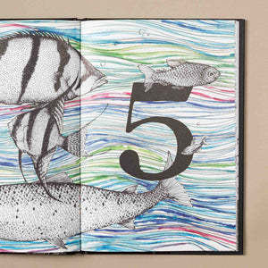 interior-page-of-5-fish