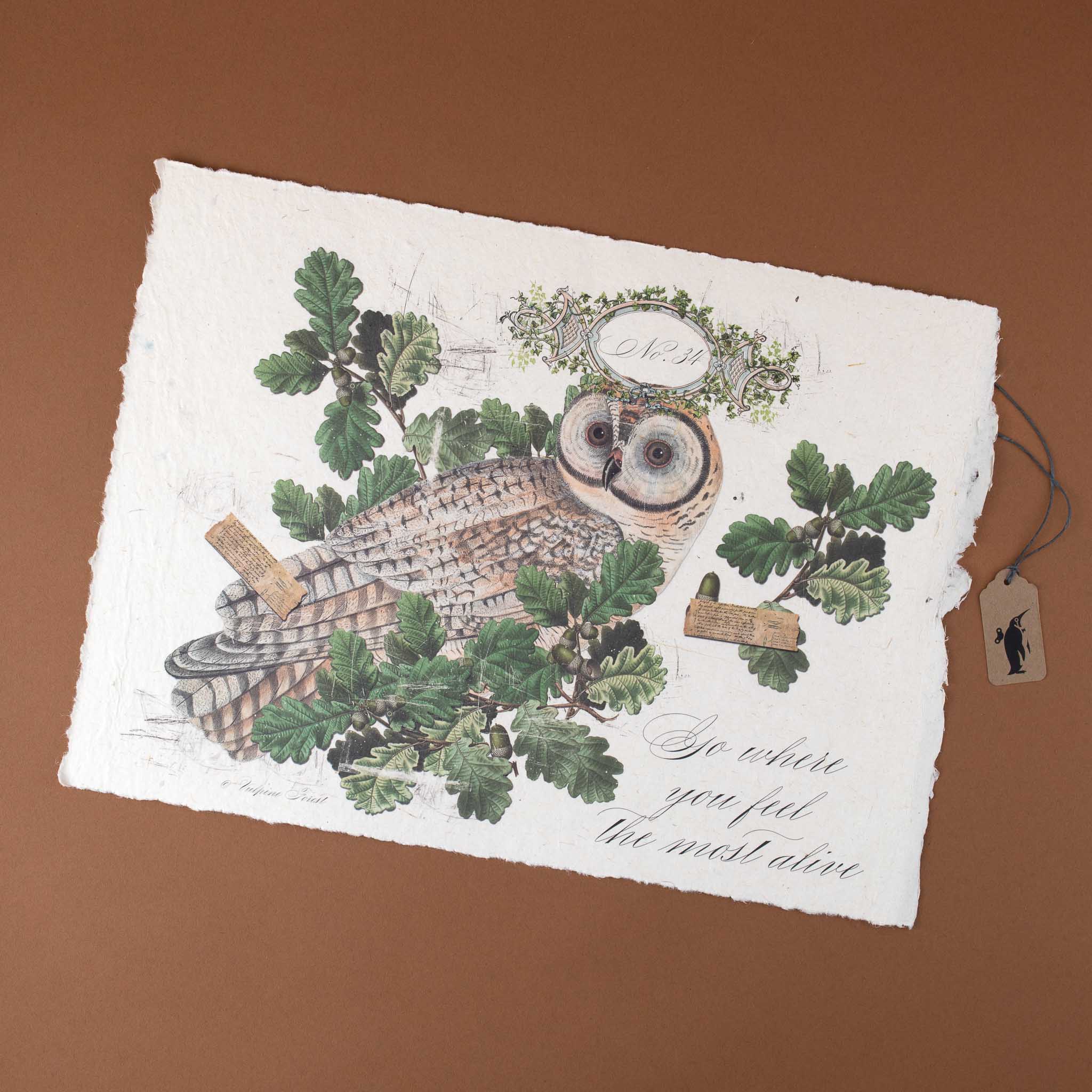 owl-in-oak-branch-with-quote-in-cursive