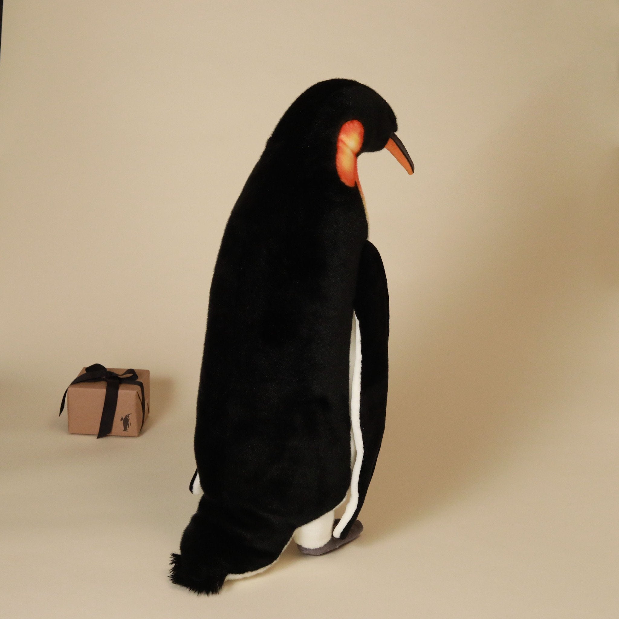 back-view