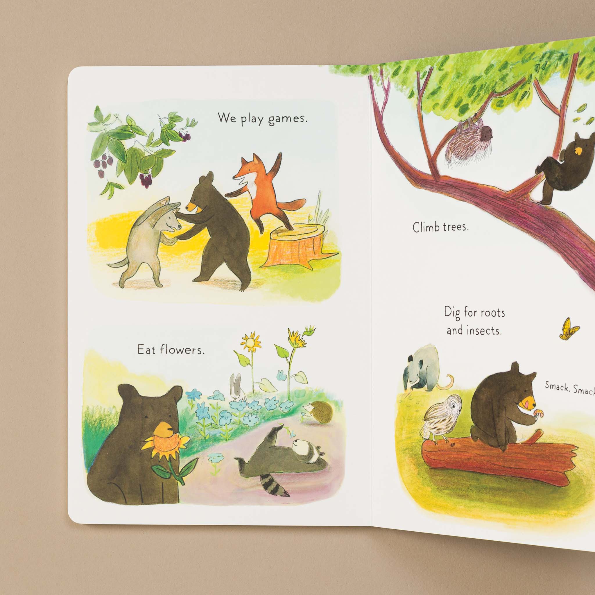 A Cub Story Board Book - Books (Baby/Board) - pucciManuli