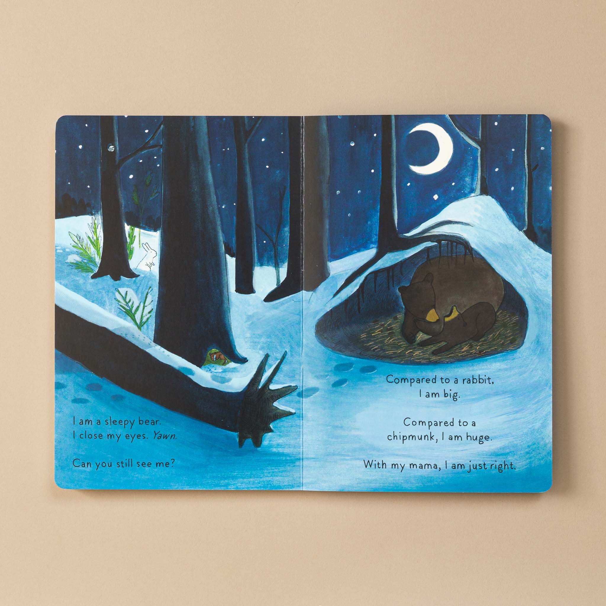 A Cub Story Board Book - Books (Baby/Board) - pucciManuli