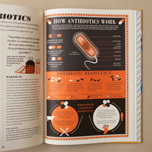 Load image into Gallery viewer, interior-orange-and-black-infographic-about-antibiotics