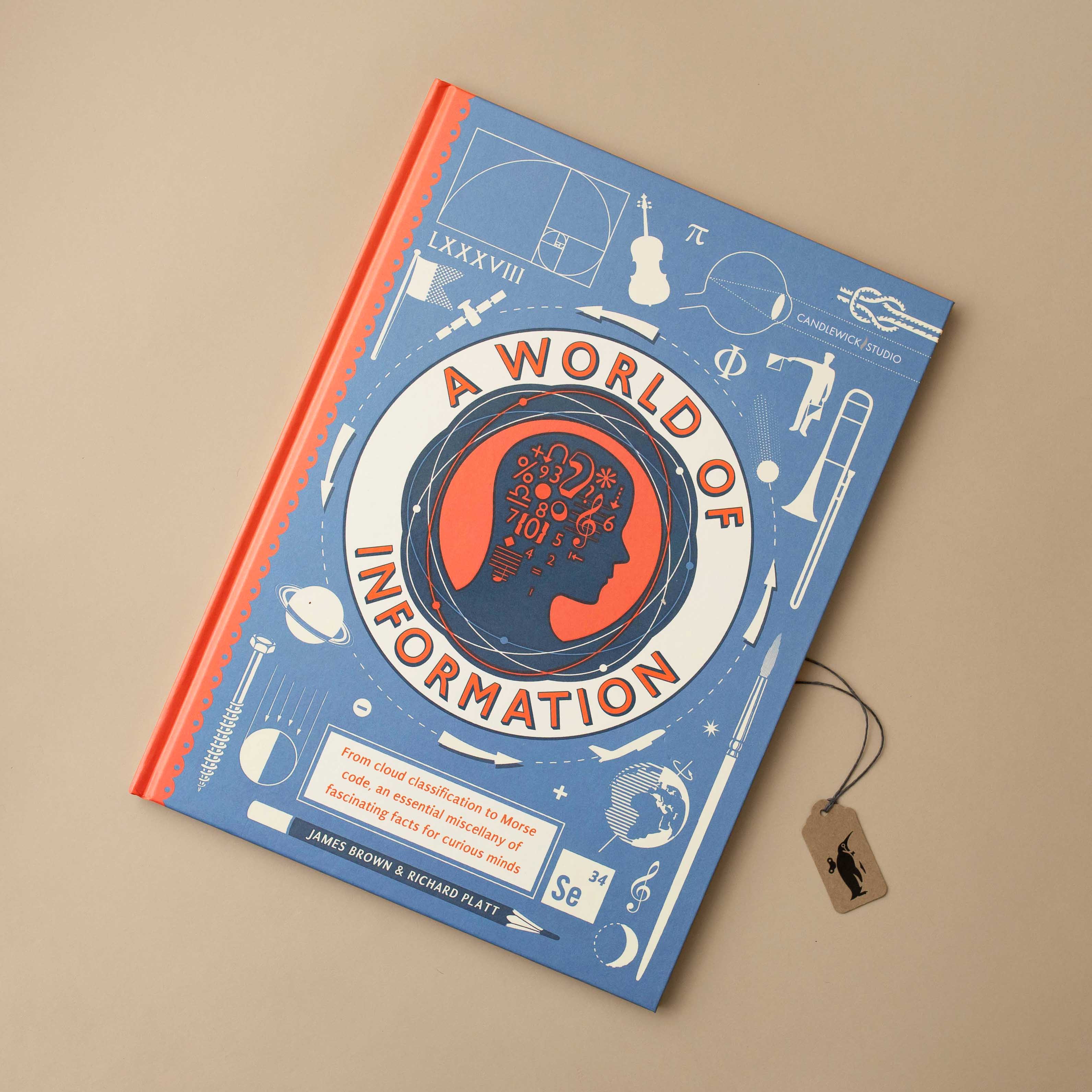 book-cover-in-blue-and-red-with-silhouetted-face