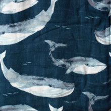 Load image into Gallery viewer, Big Lovie | Blue Whale - Baby (Lovies/Swaddles) - pucciManuli