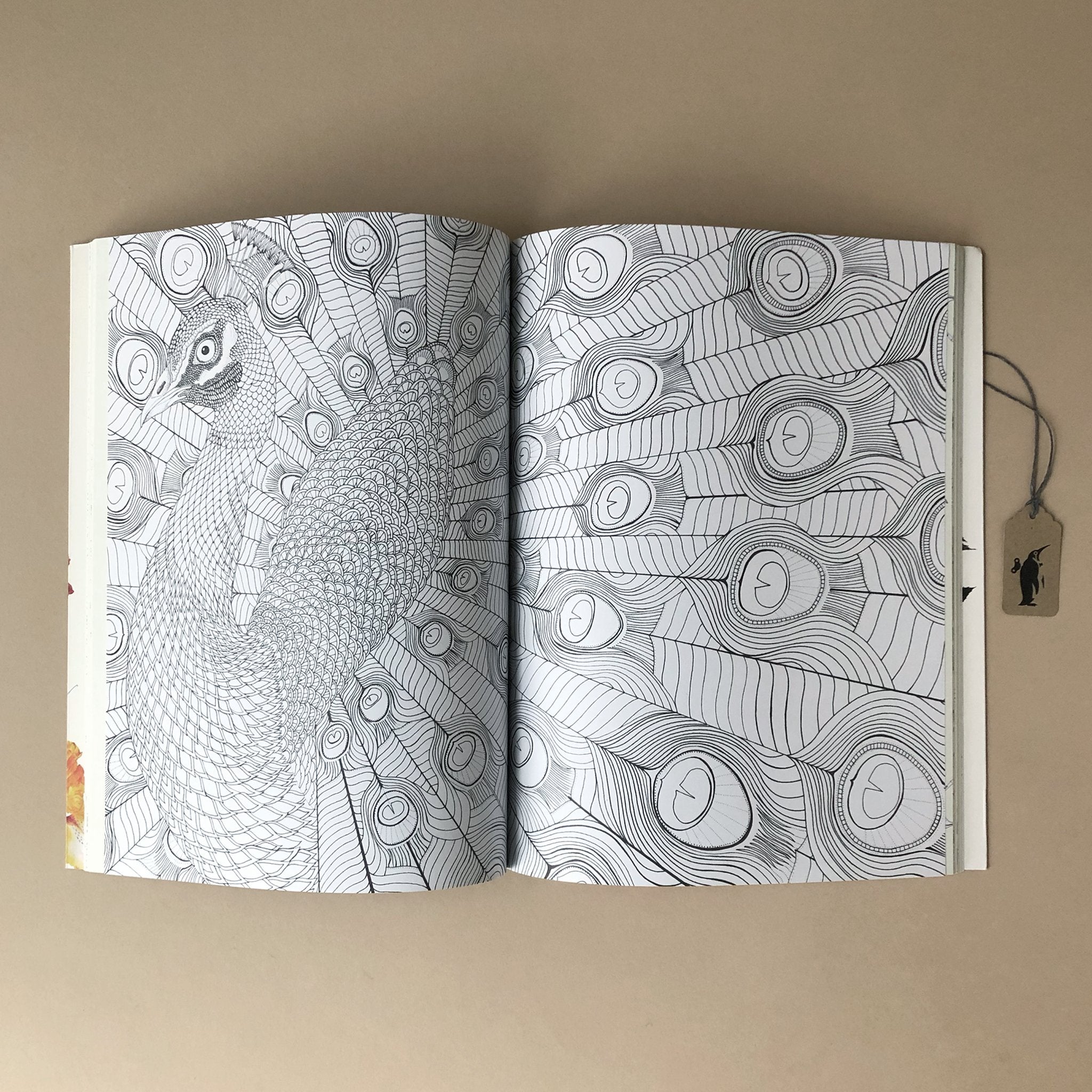 interior-page-peacock