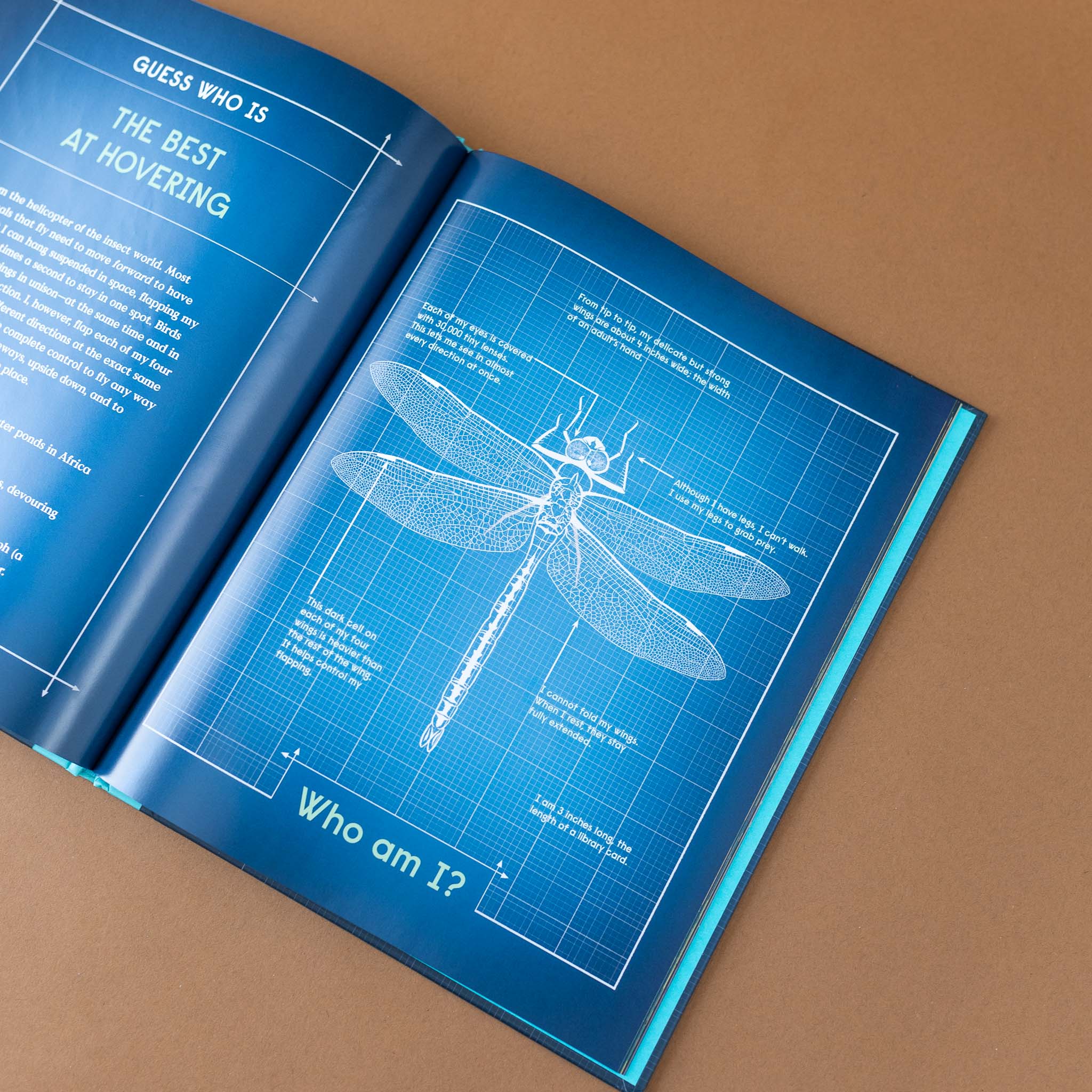 inside-pages-guess-who-is-the-best-at-hovering