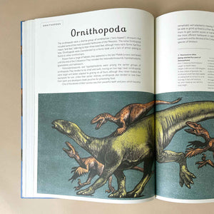 dinosaurium-book-inside-page-about-the-ornithopoda-dinosaur-with-text-and-illustrations