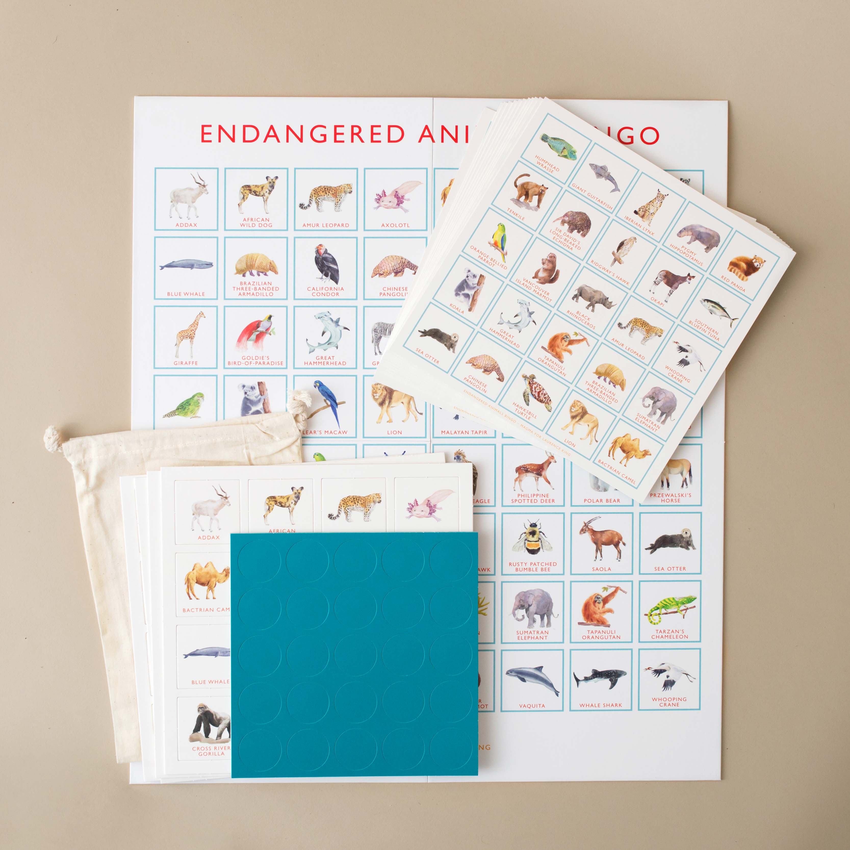 bingo-cards-and-chips