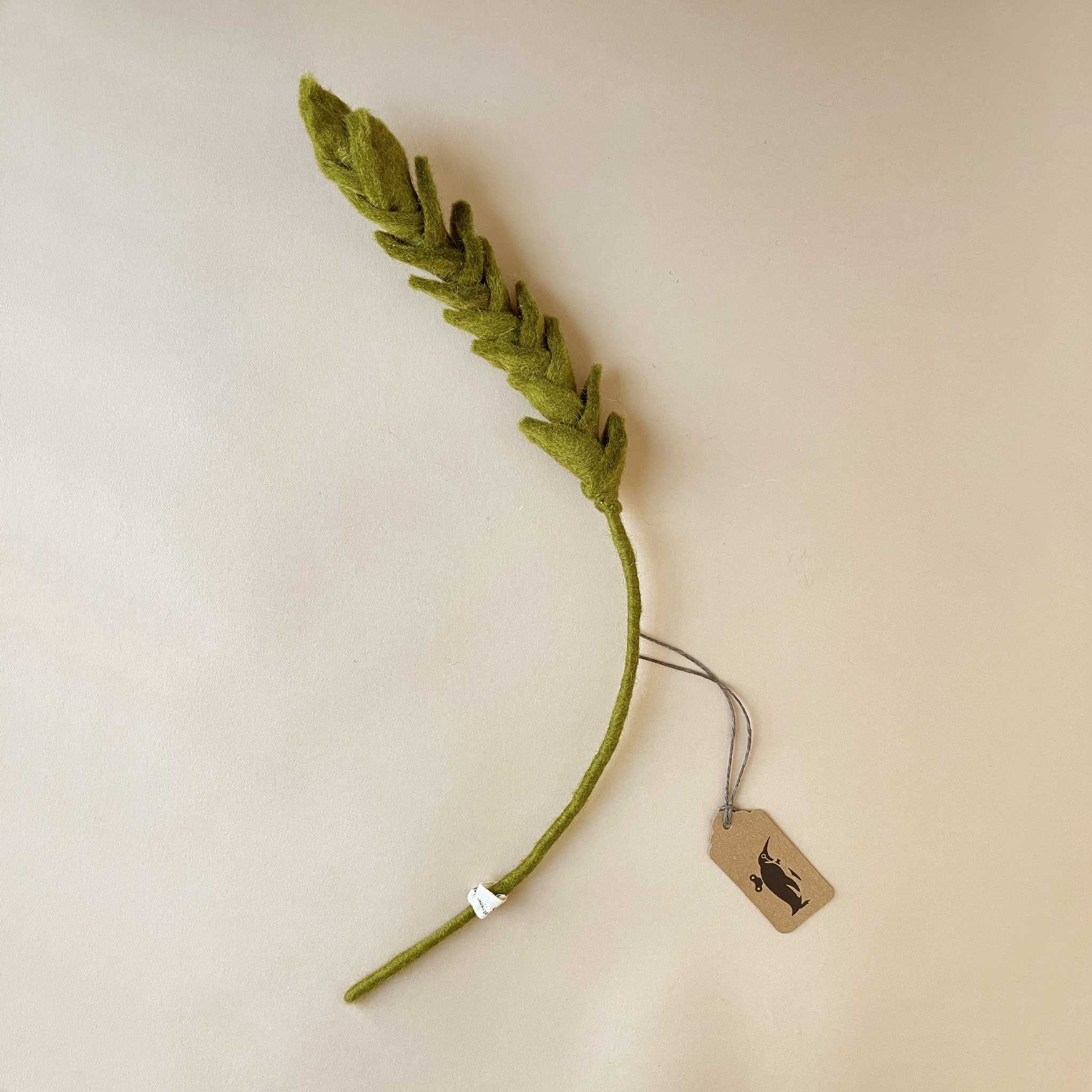 green-stem-with-green-overlapping-leaves-on-top-half