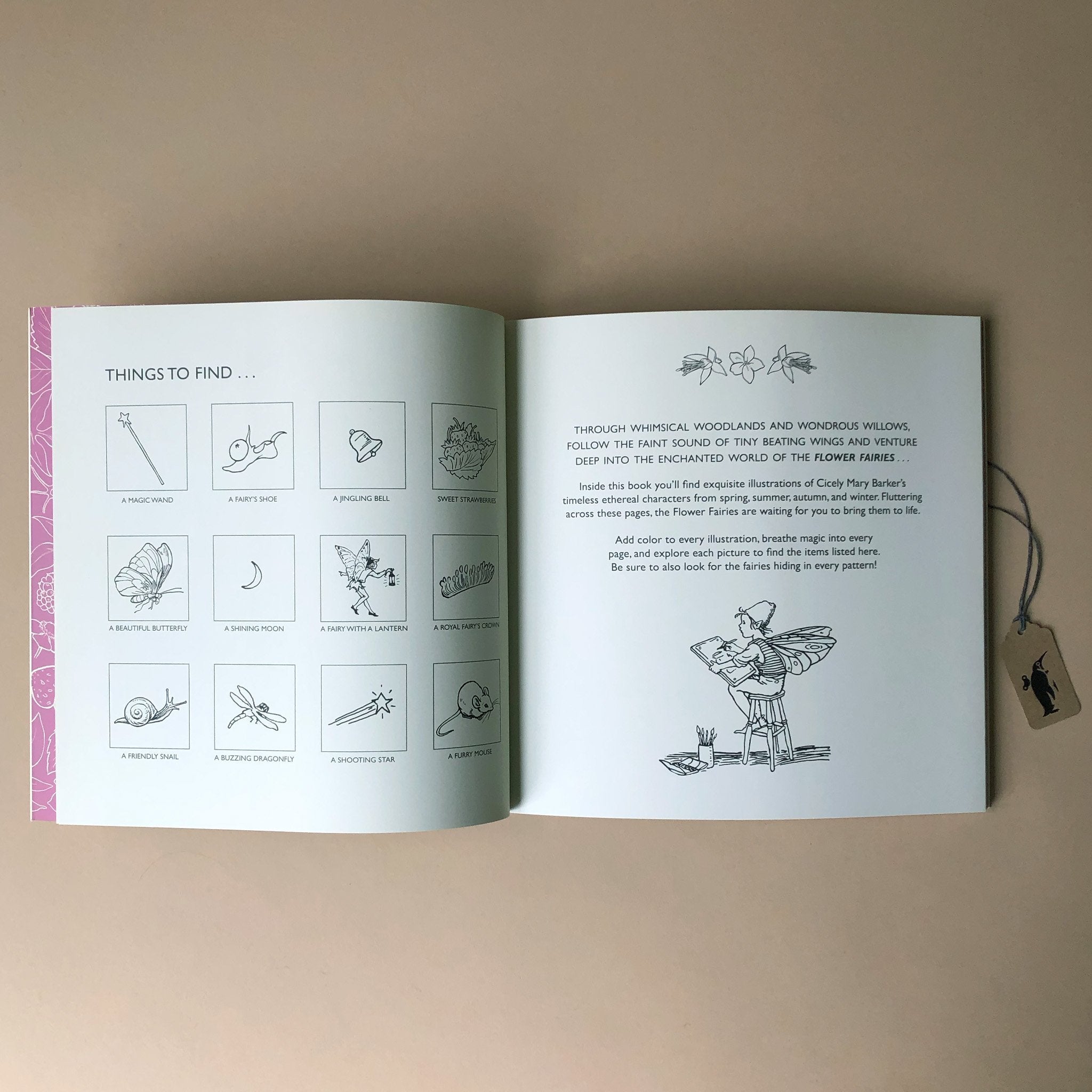 inside-page-flower-fairies-coloring-book-things-to-find