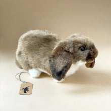 Load image into Gallery viewer, realistic-brown-and-white-german-lop-ear-rabbit-stuffed-animal
