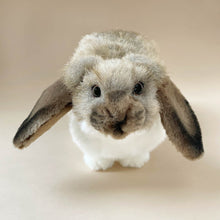 Load image into Gallery viewer, face-detail-of-realistic-german-lop-ear-rabbit-stuffed-animal