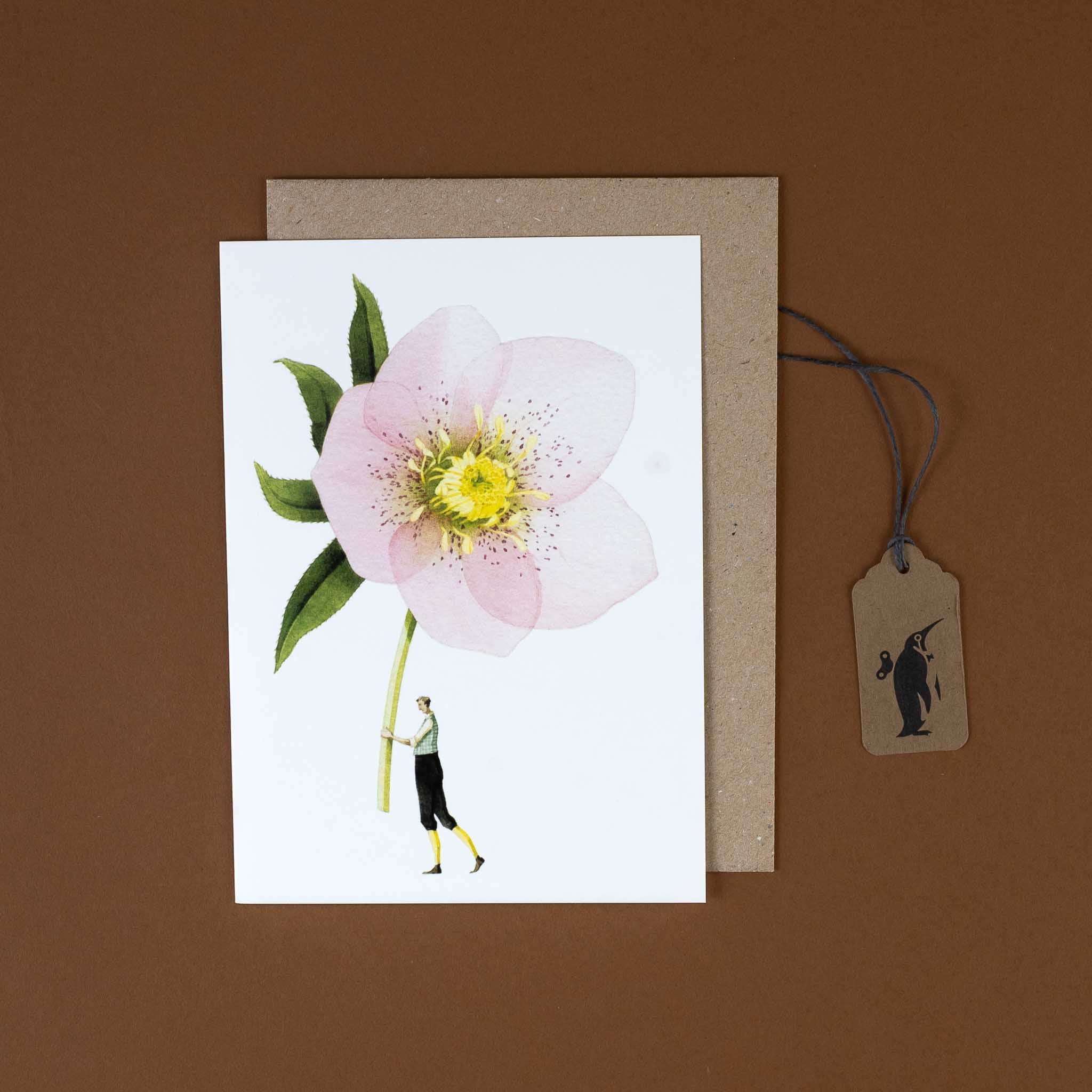 hellebore-stem-greeting-card-pink