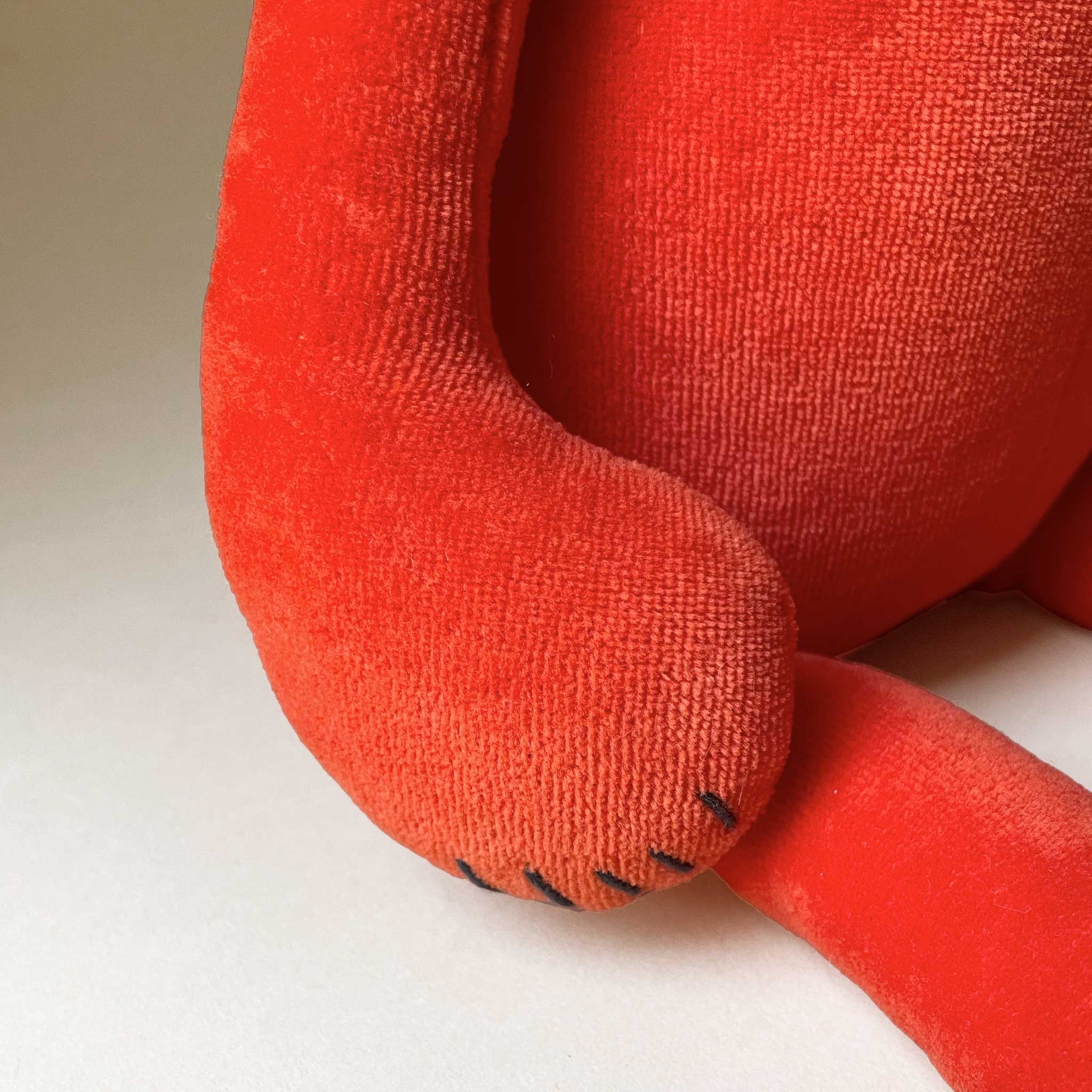 detail-of-stitches-on-paw
