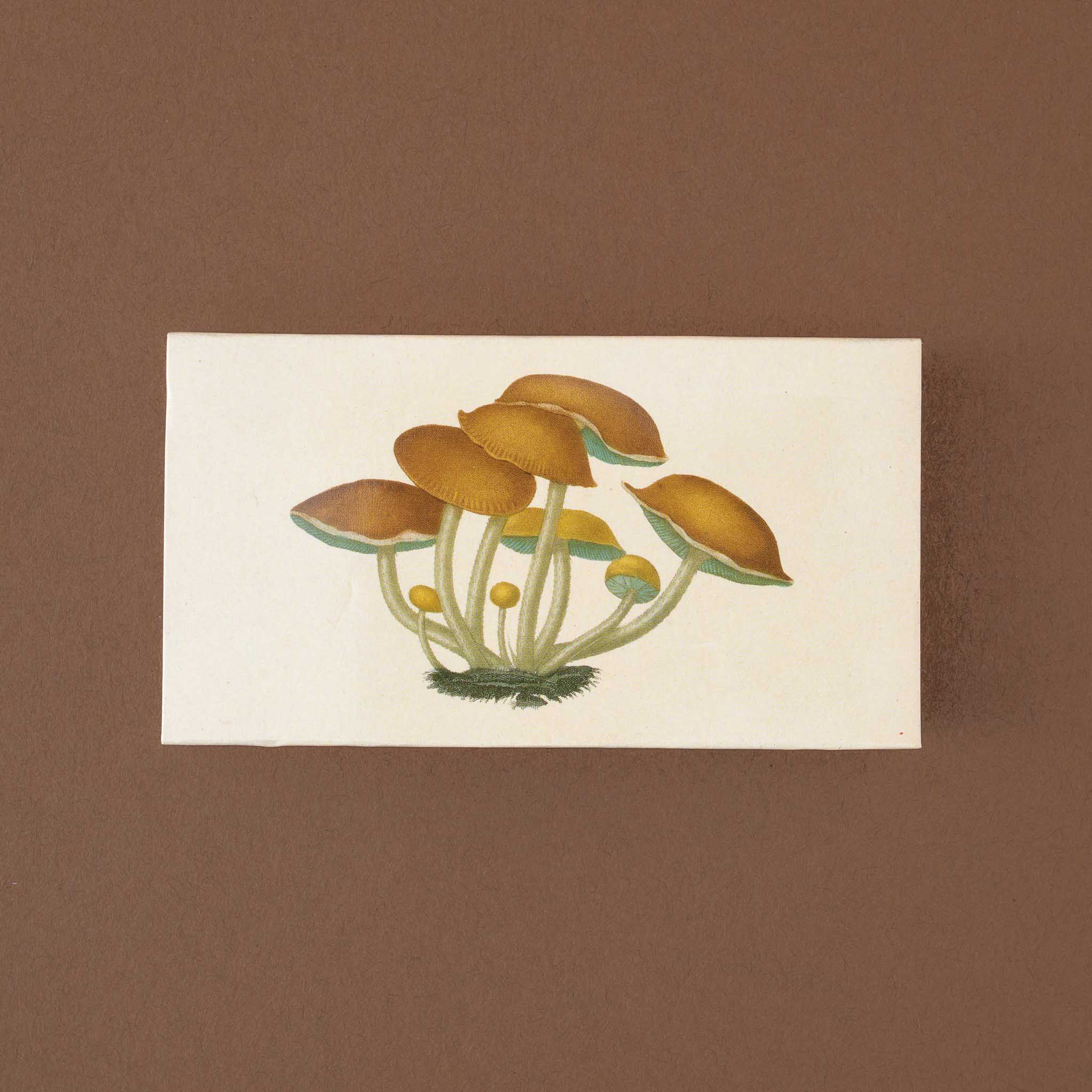 backside-of-matches-box-with-beige-mushrooms