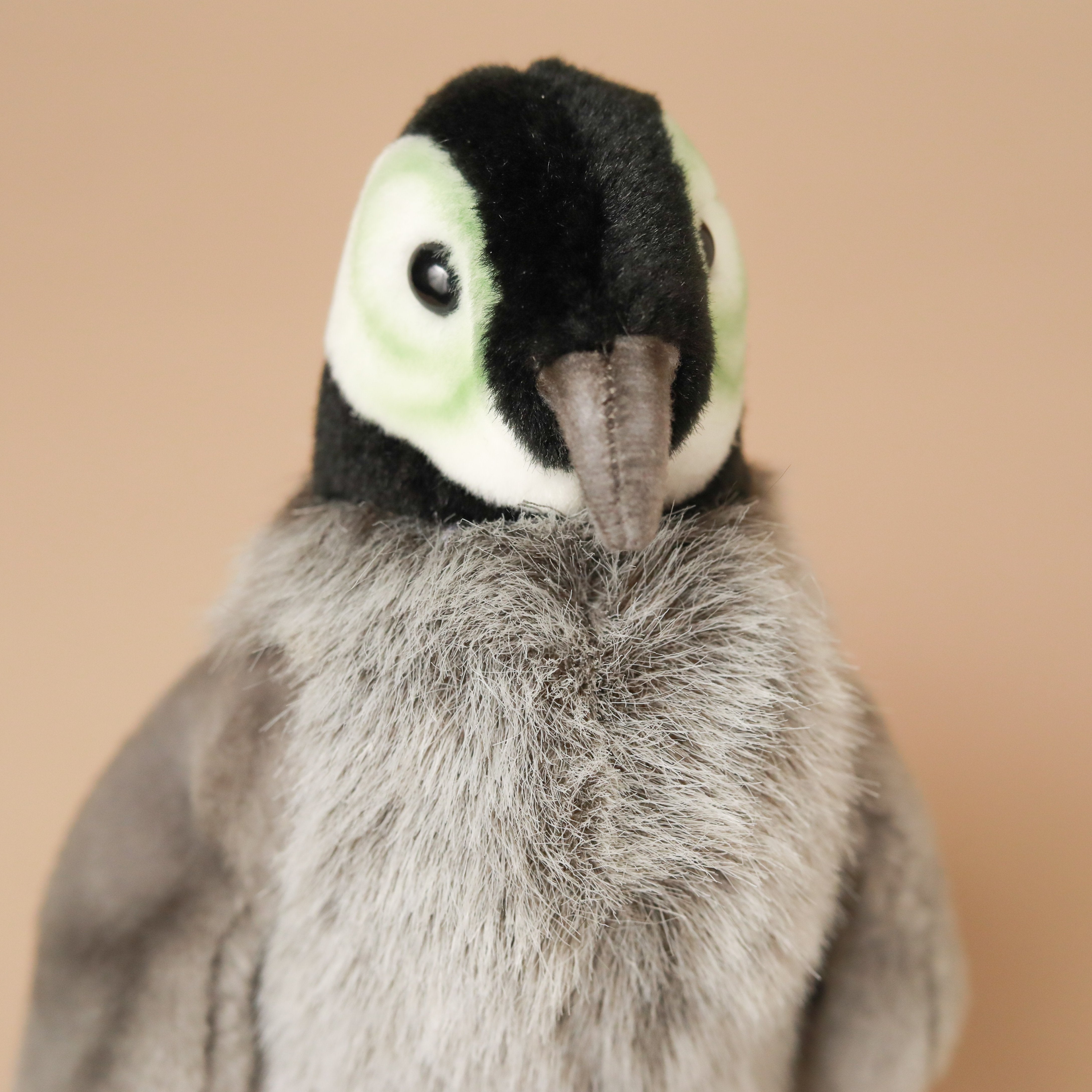 detail-penguin-face