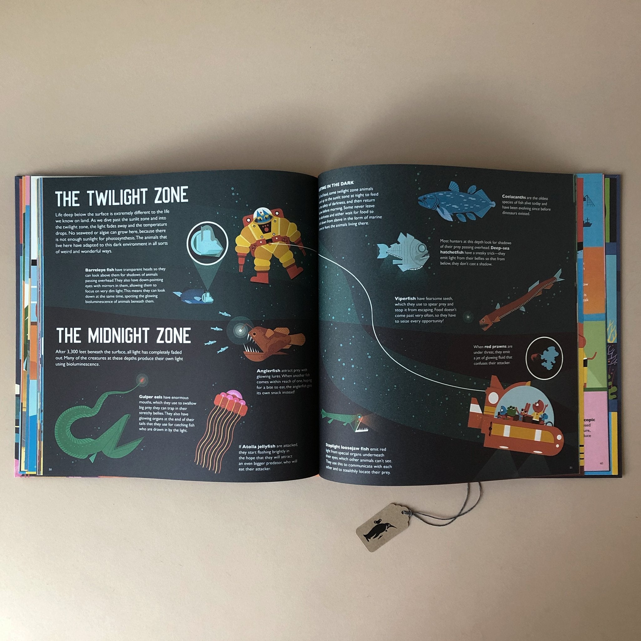 professor-astrocats-deep-sea-voyage-open-page-with-text-and-illustration