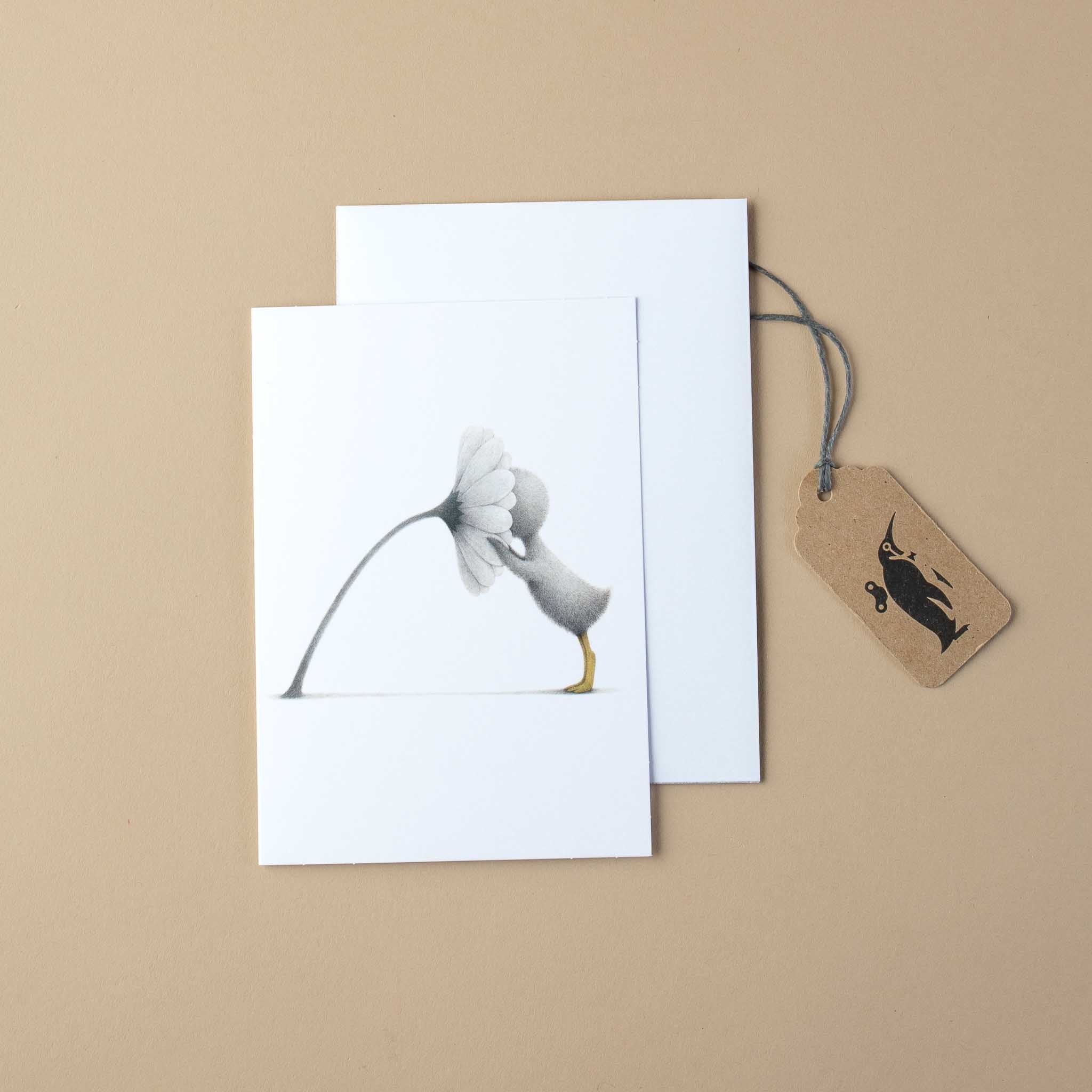 so-much-gratitude-note-card-wonderful