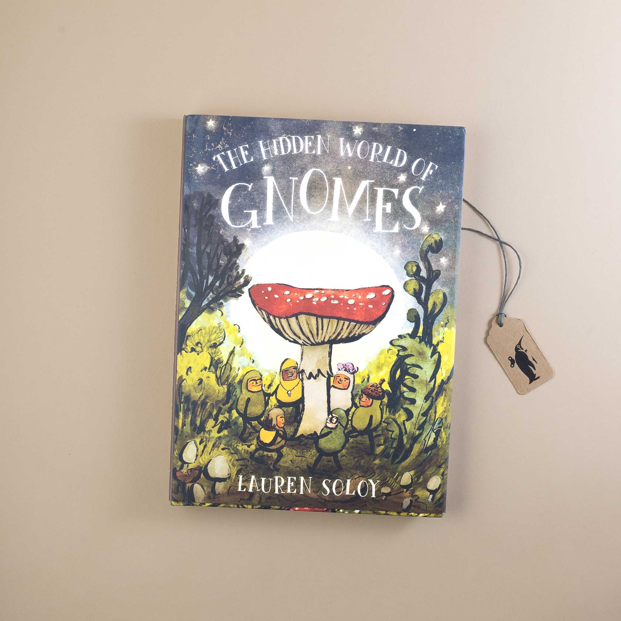 the-hidden-world-of-gnomes