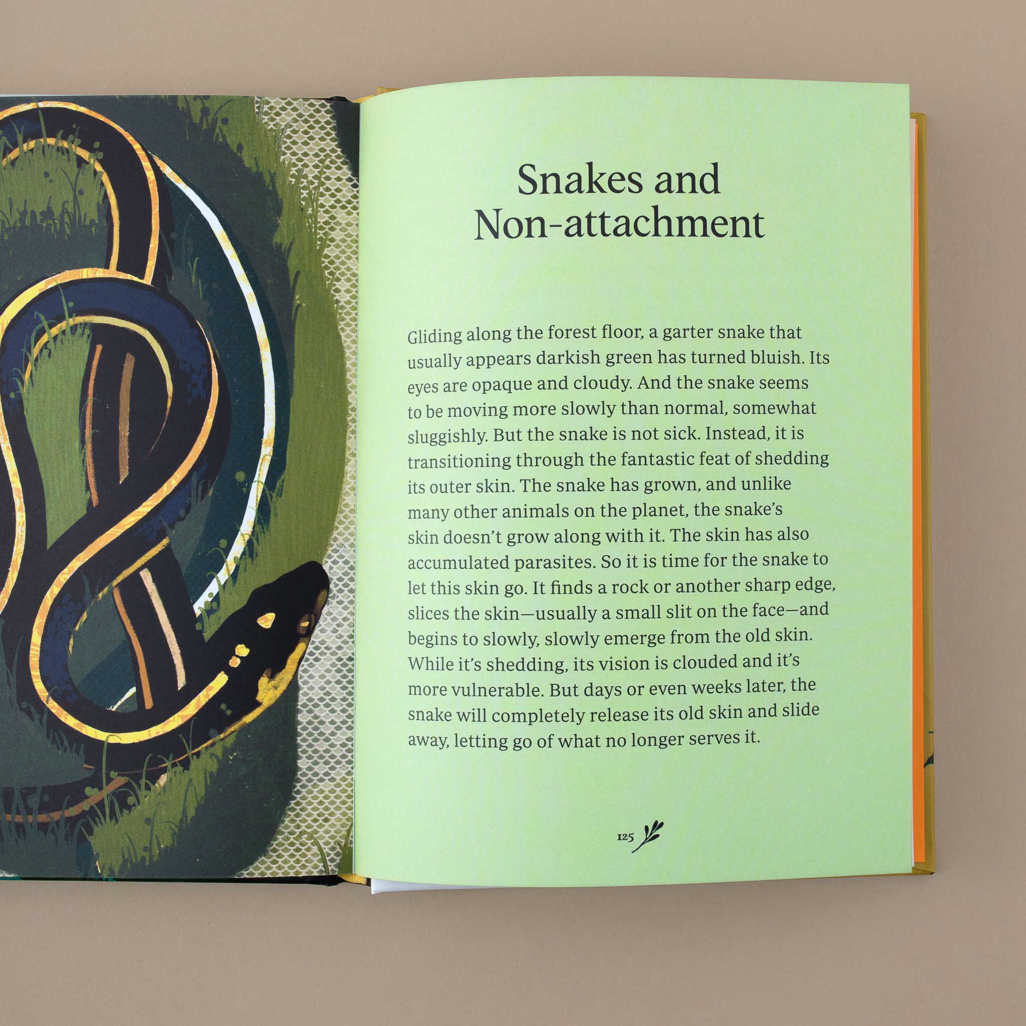 open-book-showing-a-green-page-with-text-about-snakes-and-non-attachment