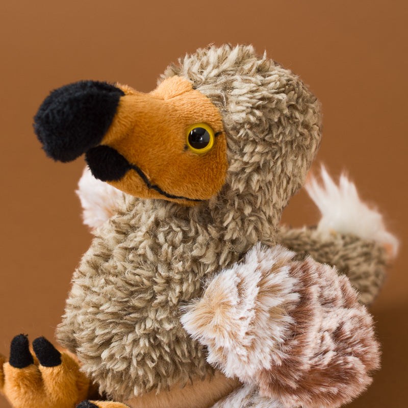Little_Dodo_Bird_Cub