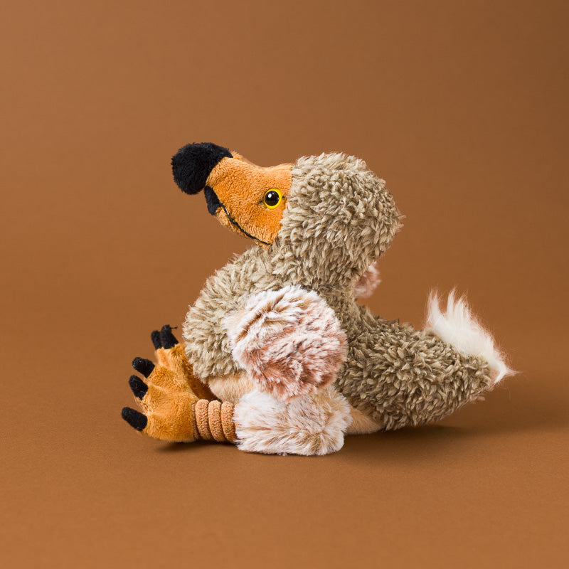 Little_Dodo_Bird_Cub