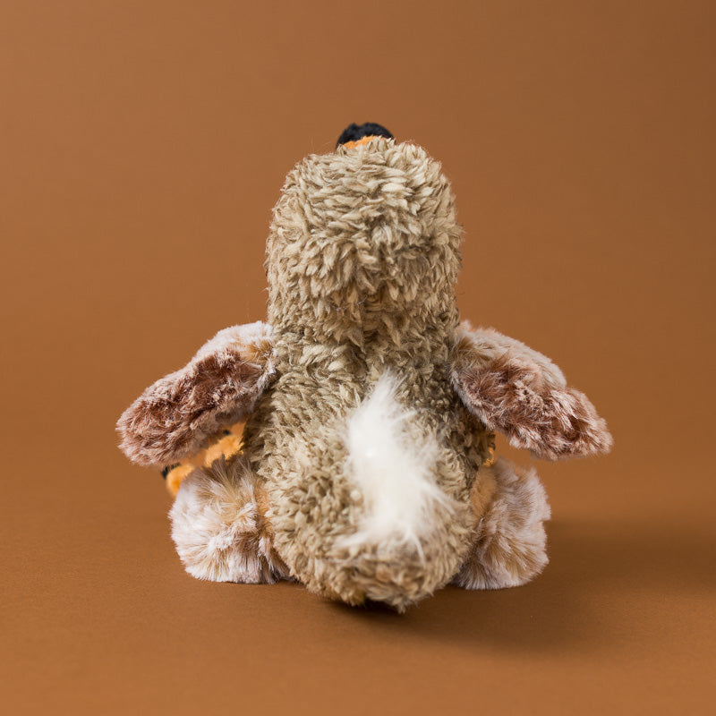 Little_Dodo_Bird_Cub