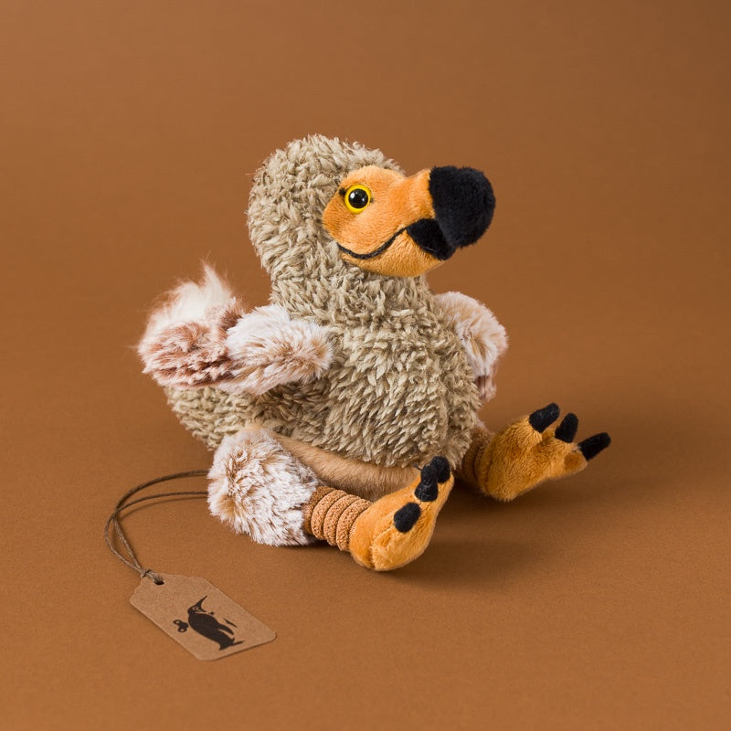 Little_Dodo_Bird_Cub