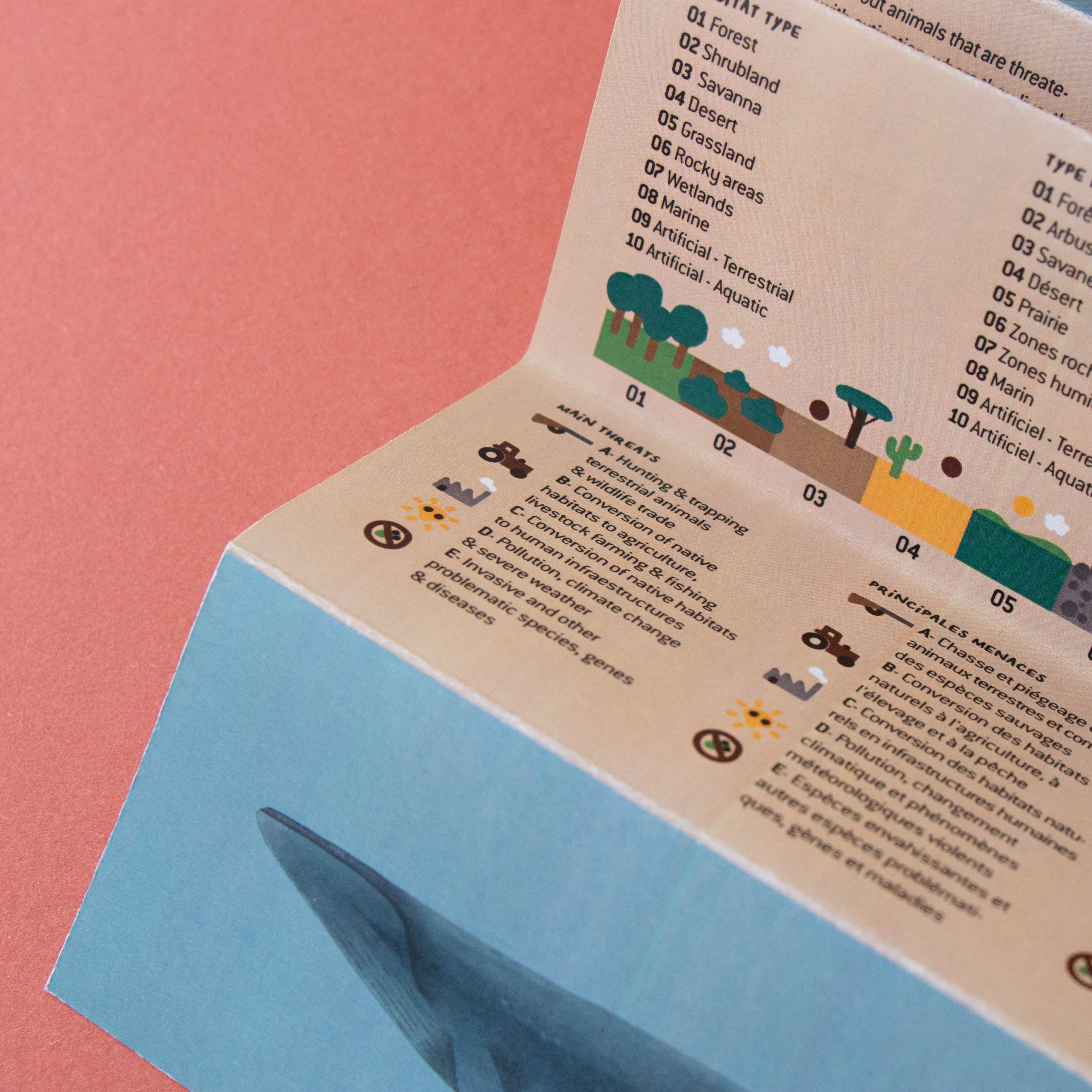 200-piece-life-puzzle packaging with a colorful label on a pink background