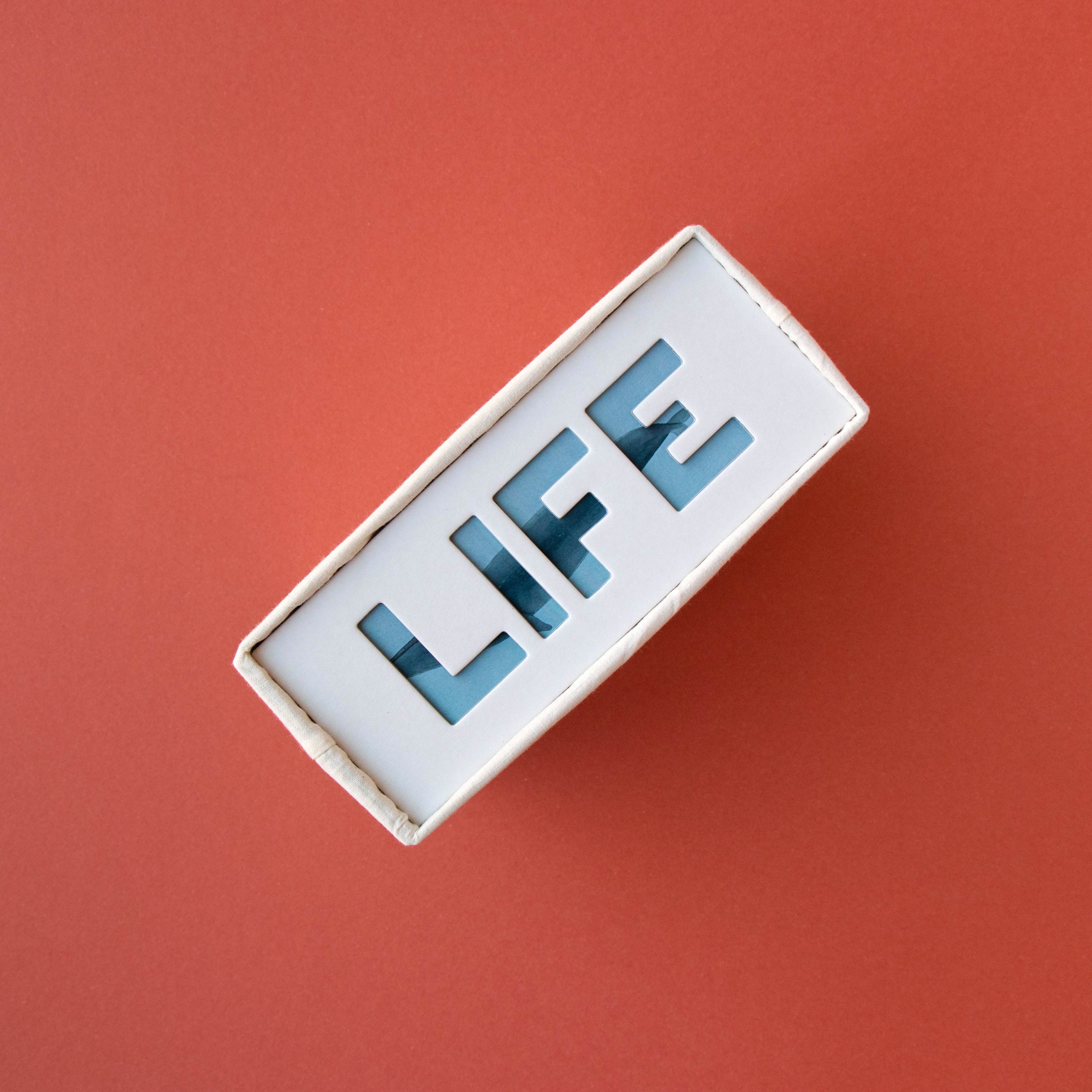200-piece-life-puzzle with 'LIFE' spelled out on a red background