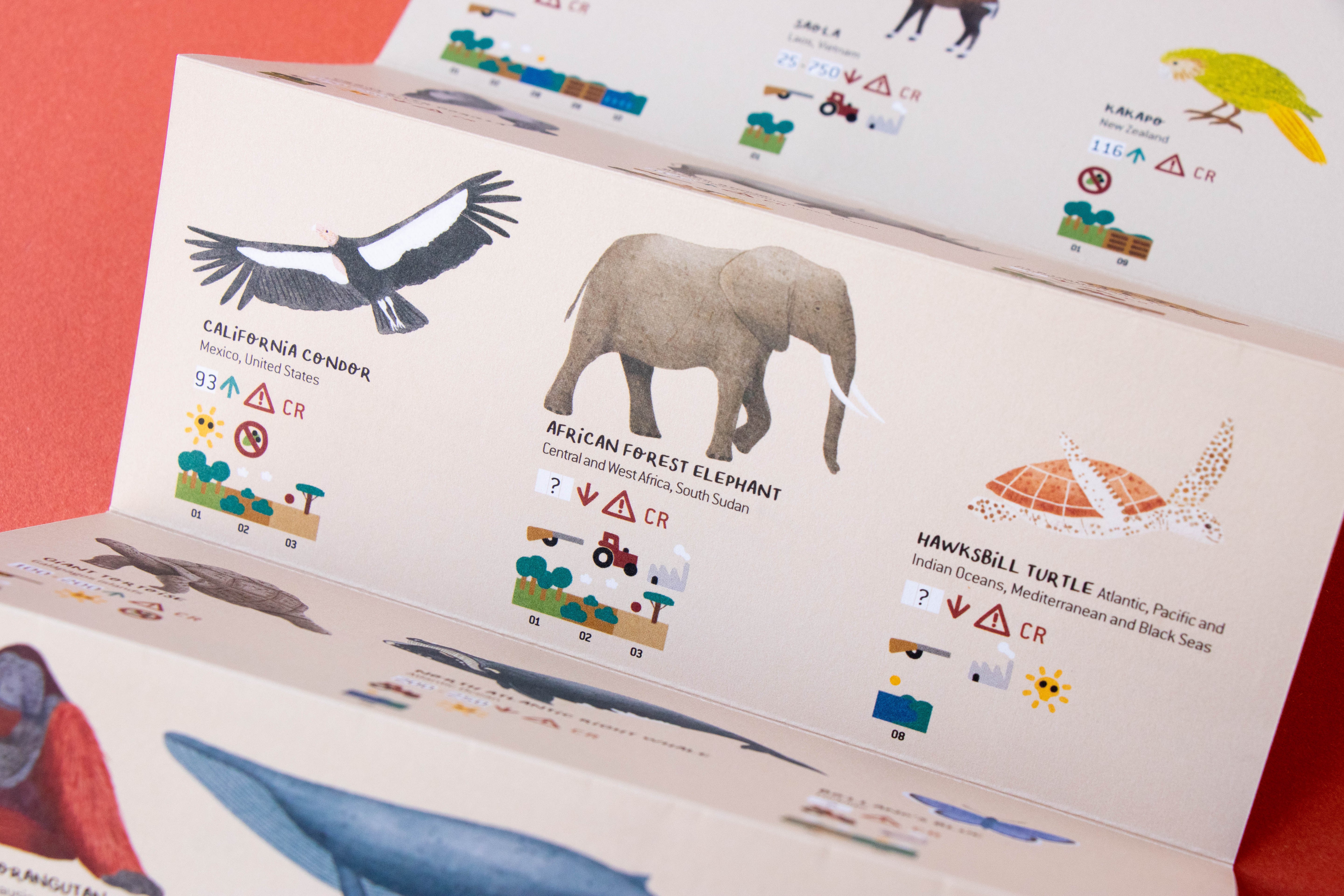 200-piece-life-puzzle open to pages showing illustrations of animals with conservation status labels.