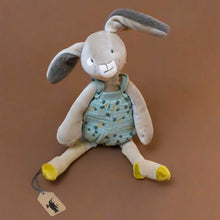 Load image into Gallery viewer, Trois-Petit-Lapins-Sage-Rabbit