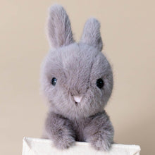Load image into Gallery viewer, messenger-bunny-with-envelope-for-special-message-stuffed-animal-pink-nose-and-attentive-ears
