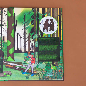 enormous-diversity-section-with-forest-floor-illustration