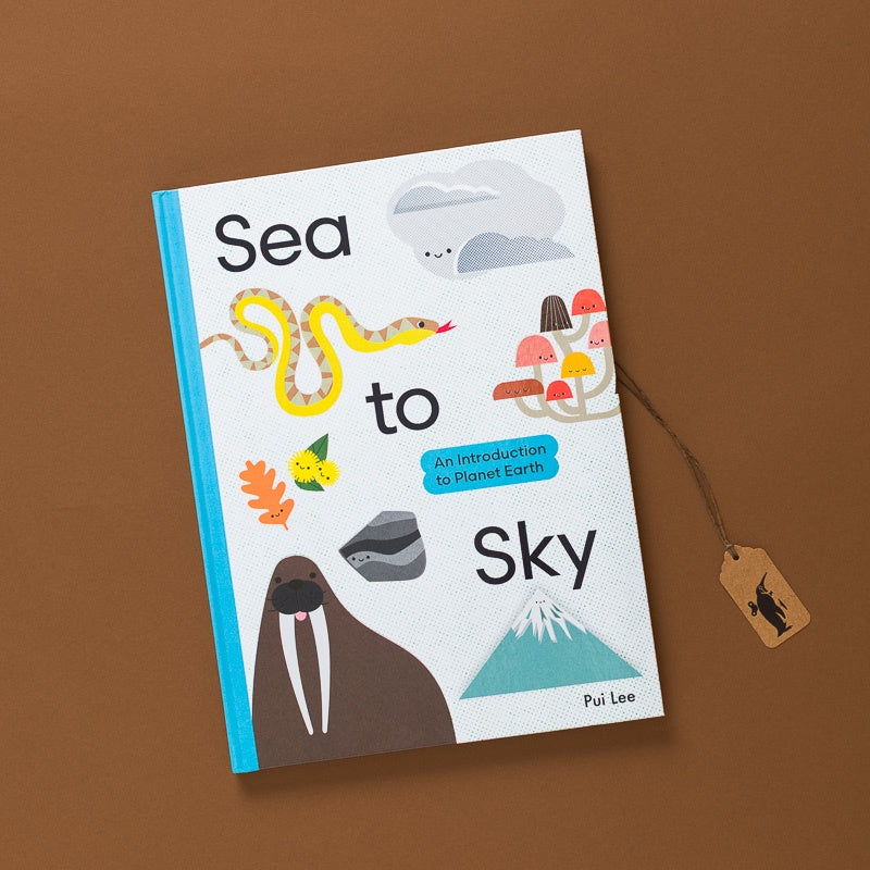 Sea_to_Sky_-_an_Introduction_to_Planet_Earth cover will illustrations 