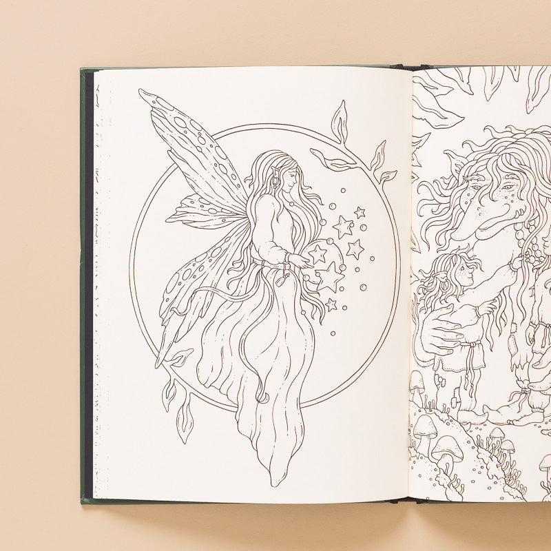Tales_from_the_Forest_Kingdom_Coloring open page with fairy