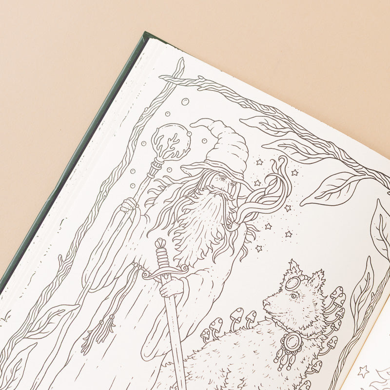 Tales_from_the_Forest_Kingdom_Coloring open page with wizard
