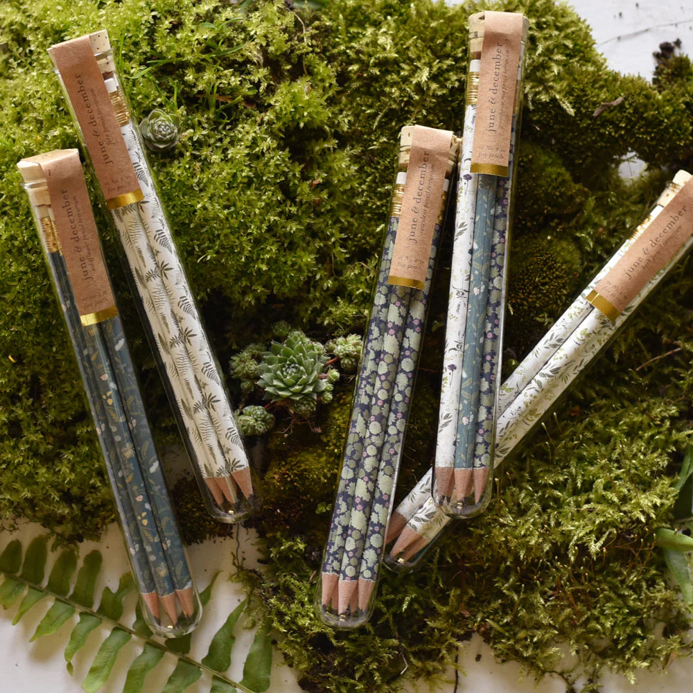 Terrarium_Pencils-MIX