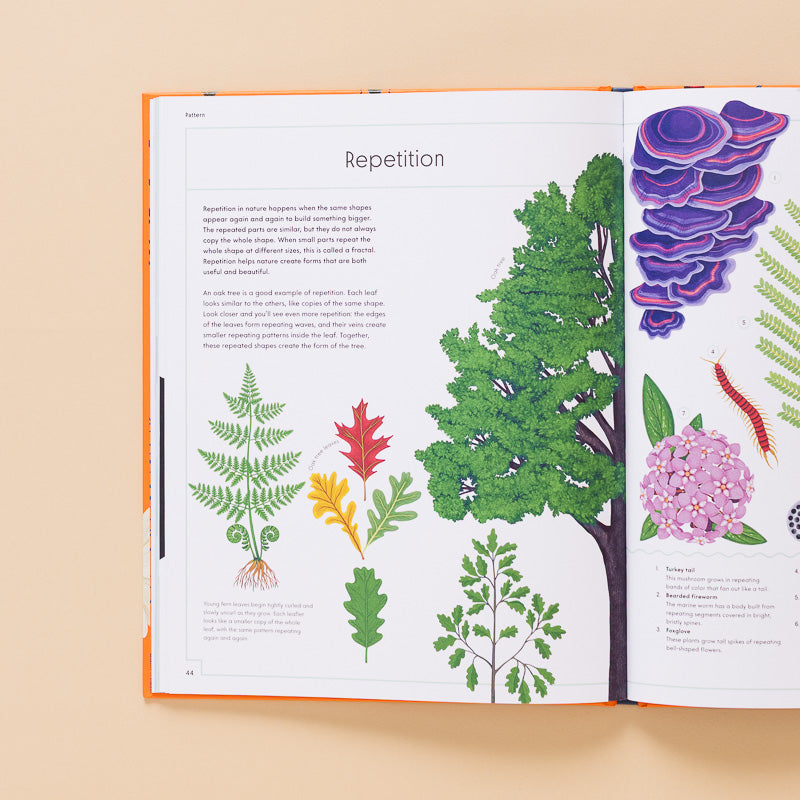 The_Wonder_of_Nature_-_Discovering_the_Science_Behind_its_Beauty_ open page to section titled repetition