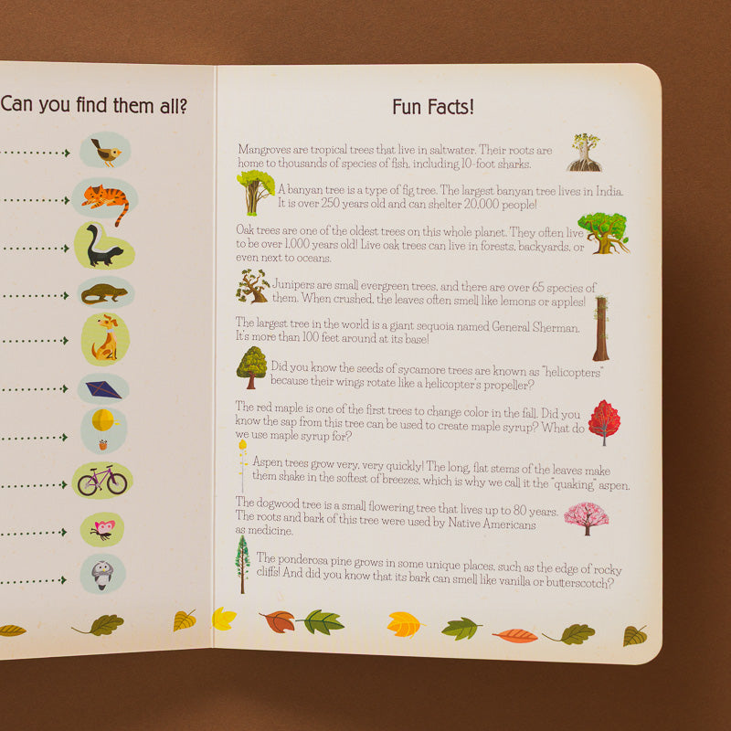Trees-A-Count-Find-Primer-Board-Book open page to fun facts