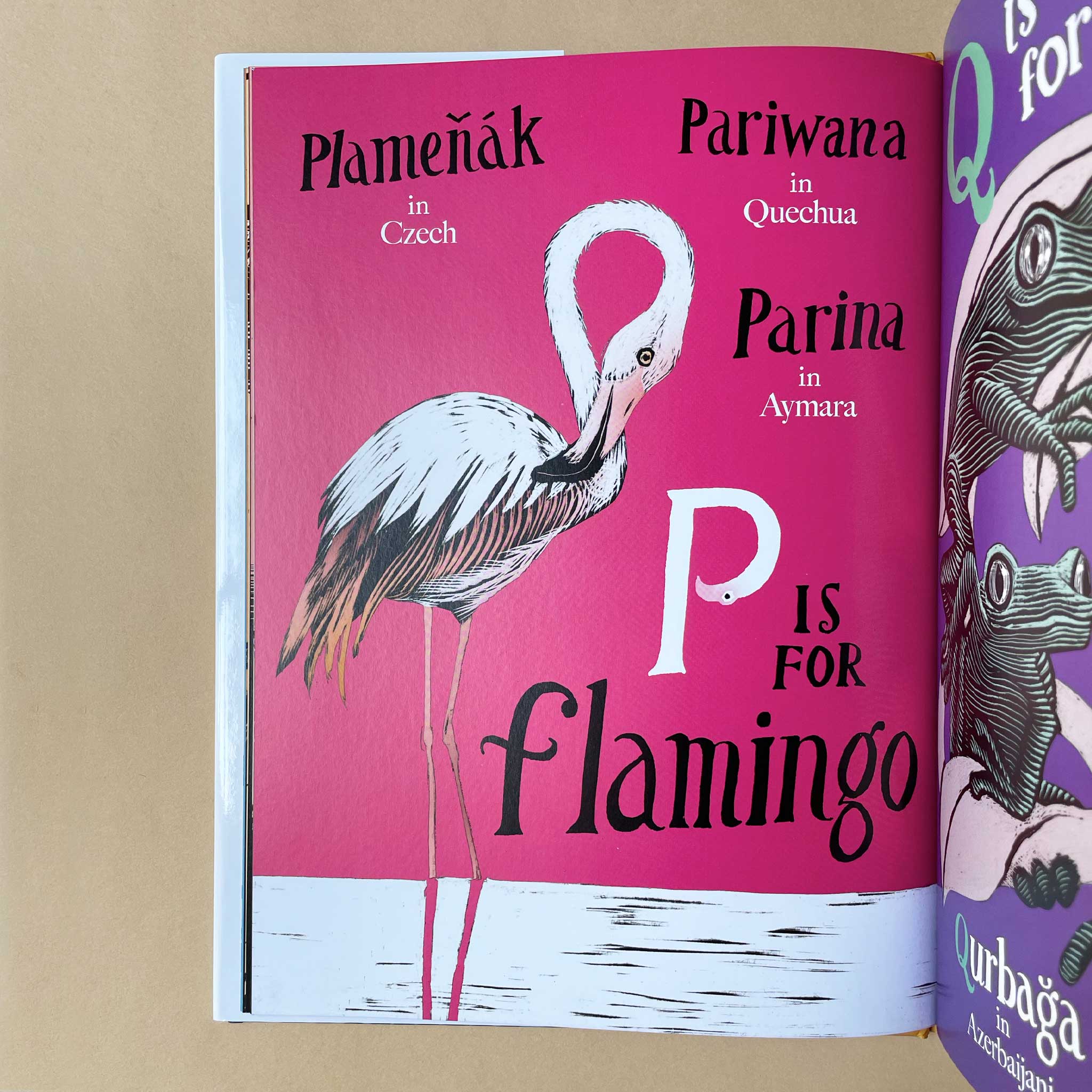 a-is-for-bee-an-alphabet-in-translationBook open to a page with a flamingo illustration- and text on a pink background