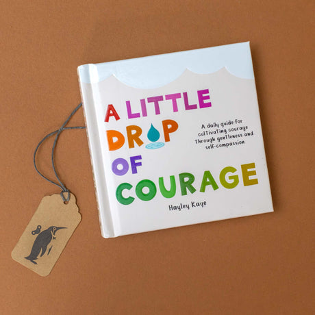 A Little Drop of Courage Book