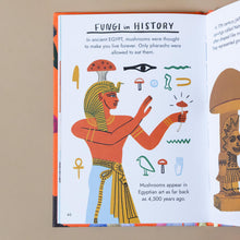 Load image into Gallery viewer, egyptian-pharaoh-illustrated-in-section-titled-fungi-through-history