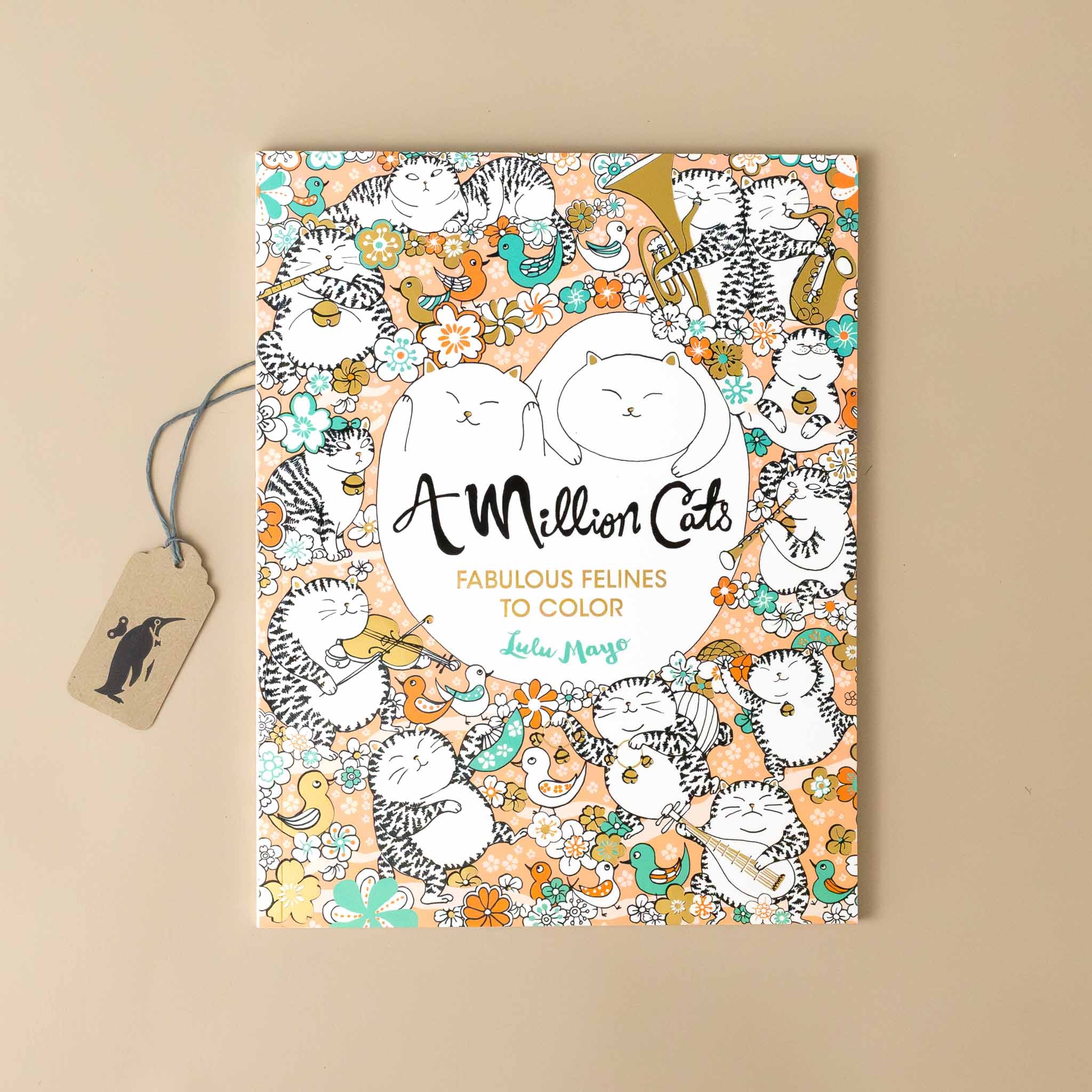 a-million-cats-coloring-book-cover-with-kittens-with-instruments-birds-and-flowers