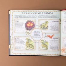 Load image into Gallery viewer, A Natural History of Dragons Book