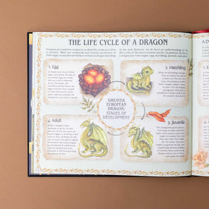 A Natural History of Dragons Book