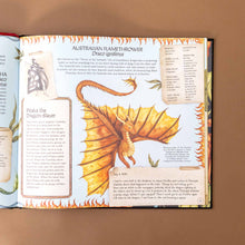 Load image into Gallery viewer, A Natural History of Dragons Book