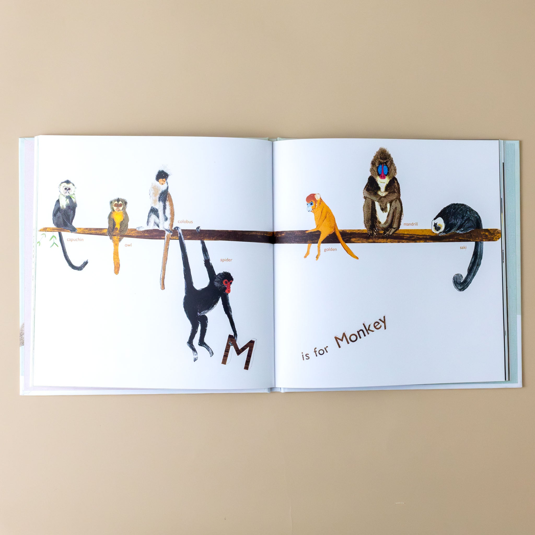 interior-page-labeled-M-is-for-monkey-with-a-variety-of-monkeys-on-a-tree