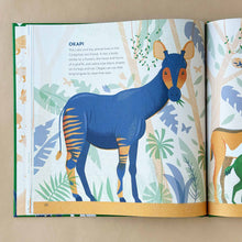 Load image into Gallery viewer, open book showing text and illustrations about the okapi