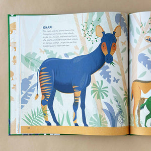open book showing text and illustrations about the okapi
